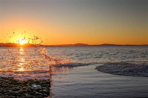 Pacific Sunrise.